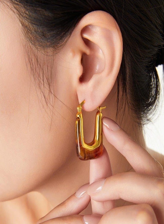 Novearring Brown Earrings for Women Acrylic Hoop Earings Brown and Gold Earring Tortoise Shell Jewelry Amber Bronze Hoop Earing Fall Accessories for Womens Fashion 2025 Trends - Image 2